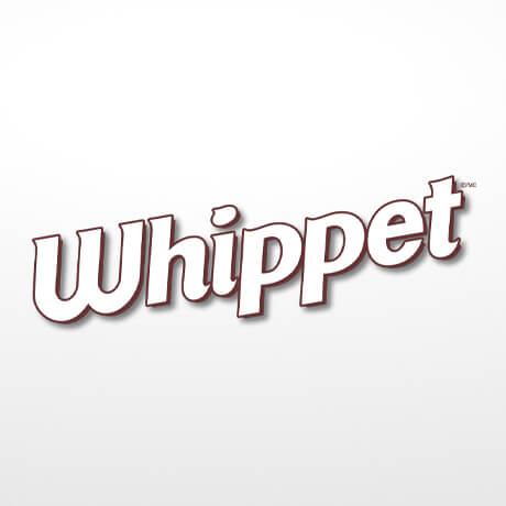 Whippet